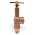 This relief valve has 1/2" ports and a solid brass body with hardened stainless steel valve seats.