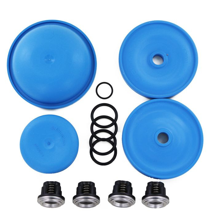 Hypro D30 BlueFlex Diaphragm and Valve Repair Kit Complete