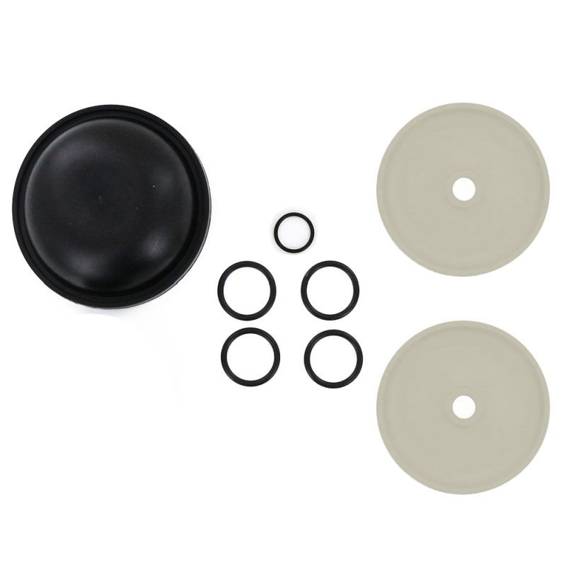 9910-KIT1723-O Rittenhouse Hypro D252 Diaphragm Repair Kit 9910-KIT1723 with Sight Glass O-Ring