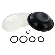 Same kit as the Hypro 9910-KIT1723 Diaphragm Repair Kit with the addition of a sight glass o-ring.