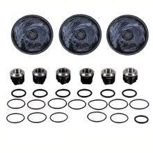 This complete repair kit for the Hypro D403 includes the Buna diaphragms, as well as the valves and o-rings.