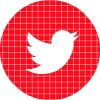 twitter-red-check-circle-social-media-icon.png