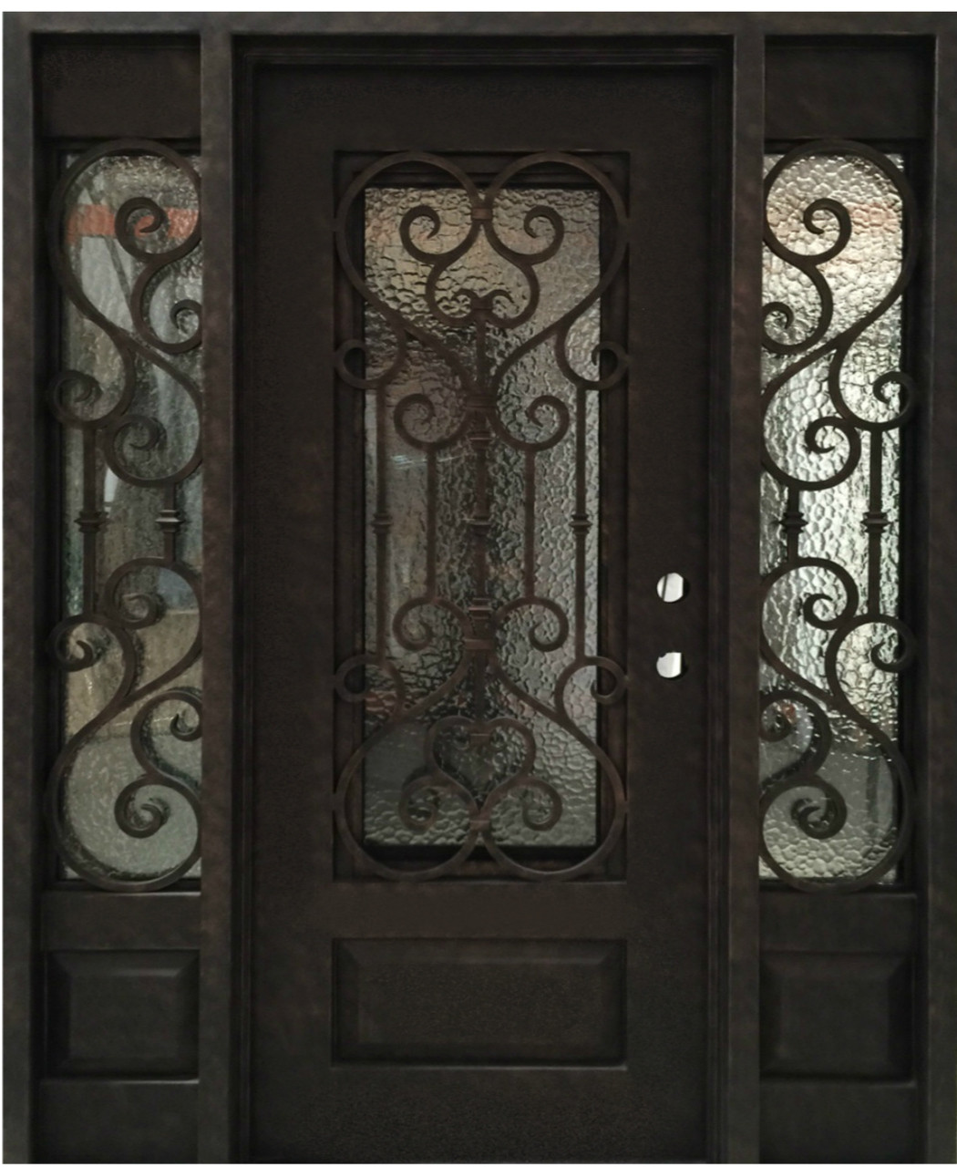 iron and glass entry doors