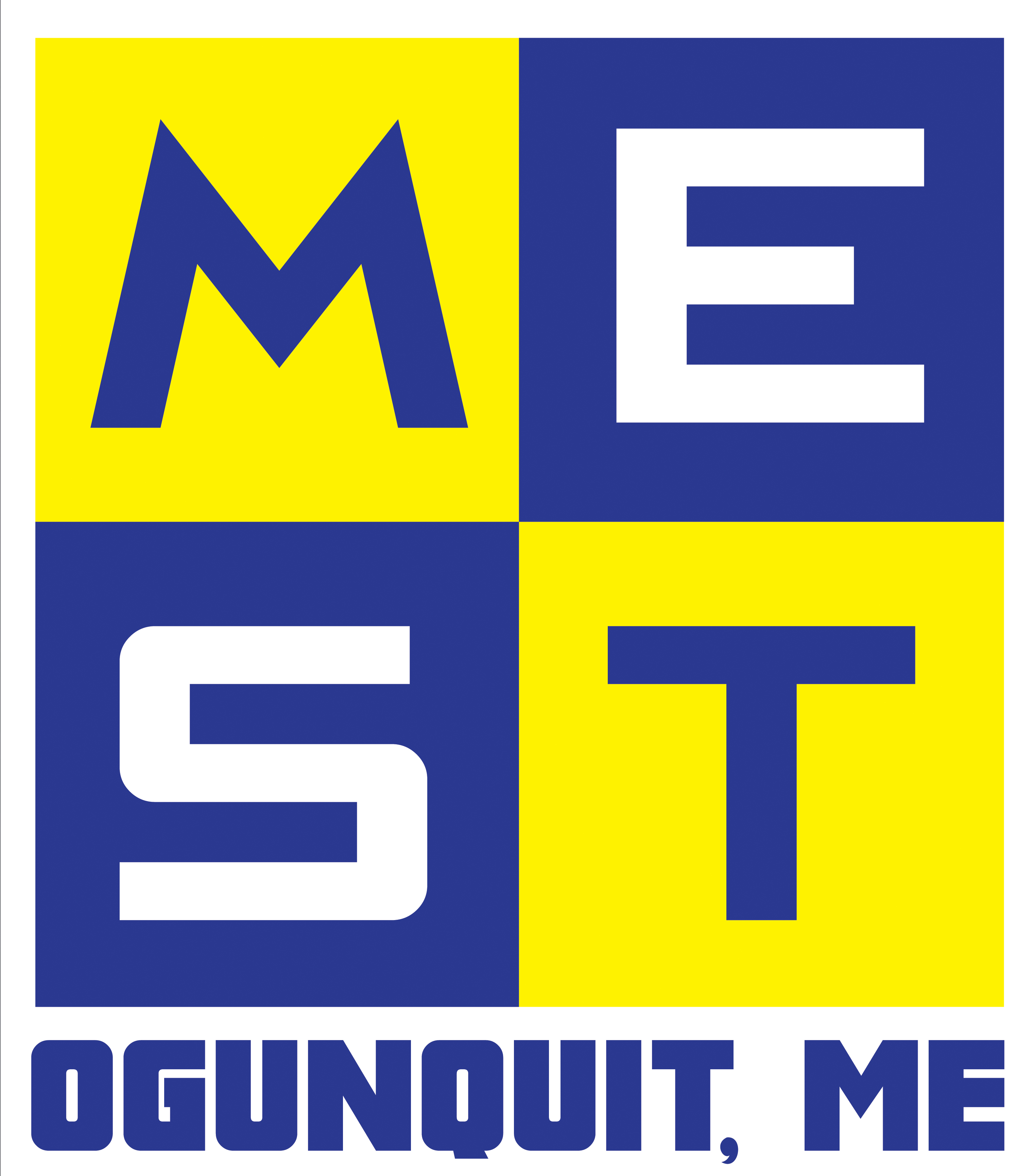 mest-logo-v1.jpg