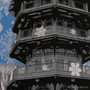 Winter Pagoda Detail