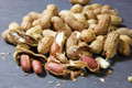 Fresh Kingaroy peanuts in the shell. 
