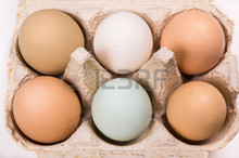 Fresh authentic free range eggs from greta in the hunter valley.
