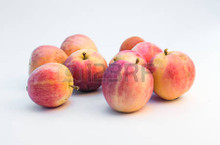 Great size to fit in kids lunch boxes. 