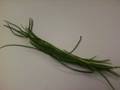 Chives - Fresh (bunch)