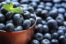 These berries are sweeter and larger in size and graded in size. 