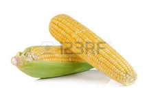 Fresh from the fertile fields of western Sydney 