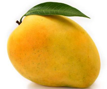 The original Kensington pride. New season and sweet and juicy