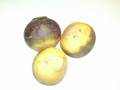 Swedes (kilo)