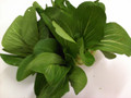 Bok choy baby (each)