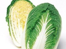 Great tasting sweet cabbage used traditionally in Asian cooking. Makes a great substitute for normal cabbage in coleslaw. 