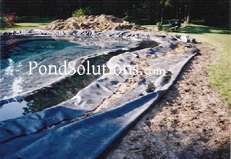 build-a-koi-pond.gif