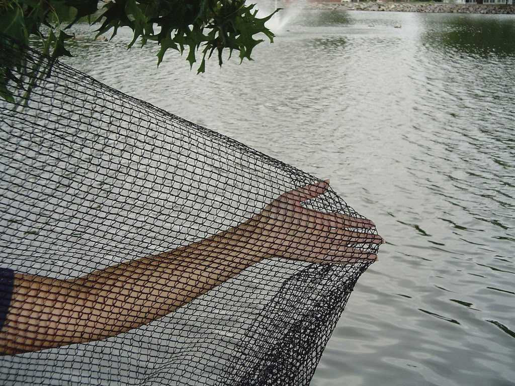 Pond Netting 12 by 20 Feet Black for sale online PN30-1220 Dewitt 