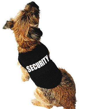 security dog outfit