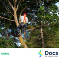 Tree Work (Aerial) SWMS | Safe Work Method Statement