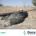 Pest Control (Feral Animal Culling) SWMS | Safe Work Method Statement