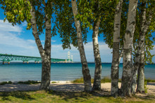 Mackinac Bridge through the trees at Old Mackinac Point. Part of the documentary The Sweetwater Seas / Great Lakes Collection. Fine art print on archival paper ready for framing or on an archival canvas wrap printed to the exacting standards of the artist.
