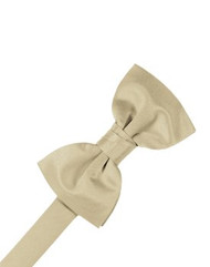 Solid Satin Bamboo Bowtie