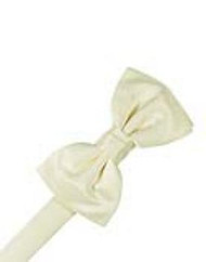 Solid Satin Ivory Bowtie
