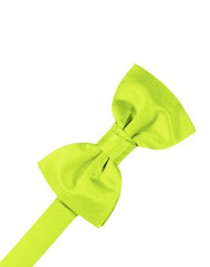 Solid Satin Lime Bowtie
