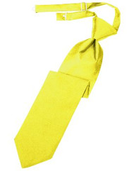 Lemon Solid Satin Long Tie