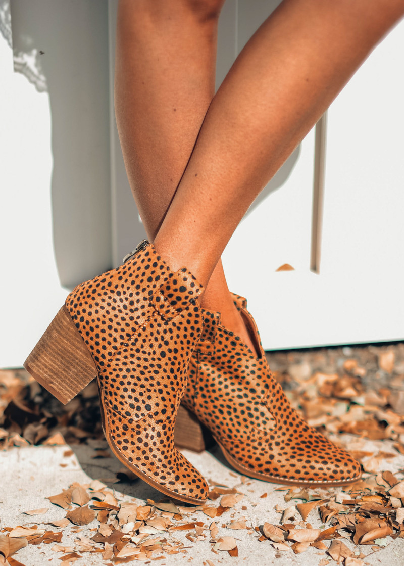 cheetah booties