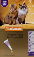 Advocate Cat Large Over 9lbs (4Kg) - 6 Pack