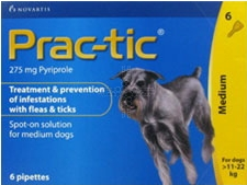 practic flea treatment for dogs