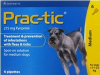 Prac-tic - 3 pack (Yellow): Medium Dogs: 25-50 lbs (11-22 kg)