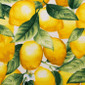 Lemon Orchard Poppy Surgical Scrub Cap - Image Variant_0