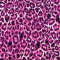 Lilly Leopard Pixie Scrub Hats - Image Variant_0