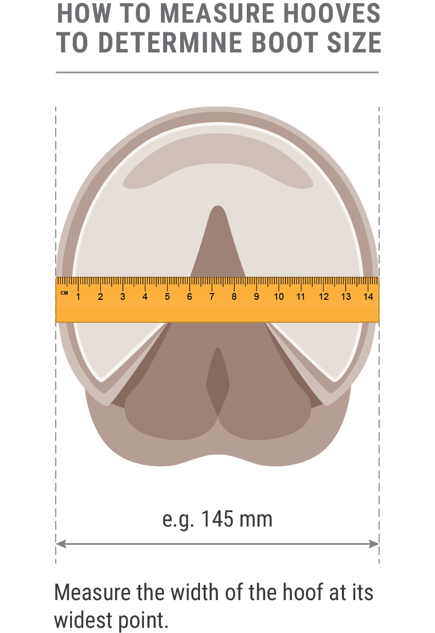 How to measure hooves to determine boot size - width measuring-hoof-diagram-for-boots-for-no-table-2-01.jpg