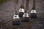 Reflective Flex Boot Gaiters