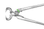 W-Brand Nipper Spring
