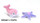 Starfish and Dolphin