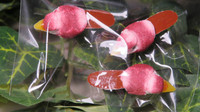 3 Maroon Mini Mushroom Birds 1 1/8 inch #G8