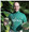 Steve was dubbed "Sproutman" by Vegetarian Times Magazine in a 1979 feature article that explored the whys and wherefores of his 100% sprout diet.