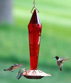 Faceted ruby hued glass hummingbird feeder crafted with a copper-plated base that allows birds to perch for feeding through openwork ports.