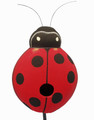Lady bug bird house crafted of unendangered Albesia wood and intricately hand painted.