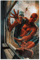 AMAZING SPIDER-MAN #1 (MARVEL 2025) 1:200 BERMEJO VIRGIN VARIANT 