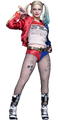 HARLEY QUINN  SUICIDE SQUAD HOT TOYS FIGURE (COLLECTORS EDITION)MMS841