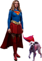 SUPERGIRL & KRYPTO HOT TOYS FIGURE SET(SUPERGIRL) MMS890