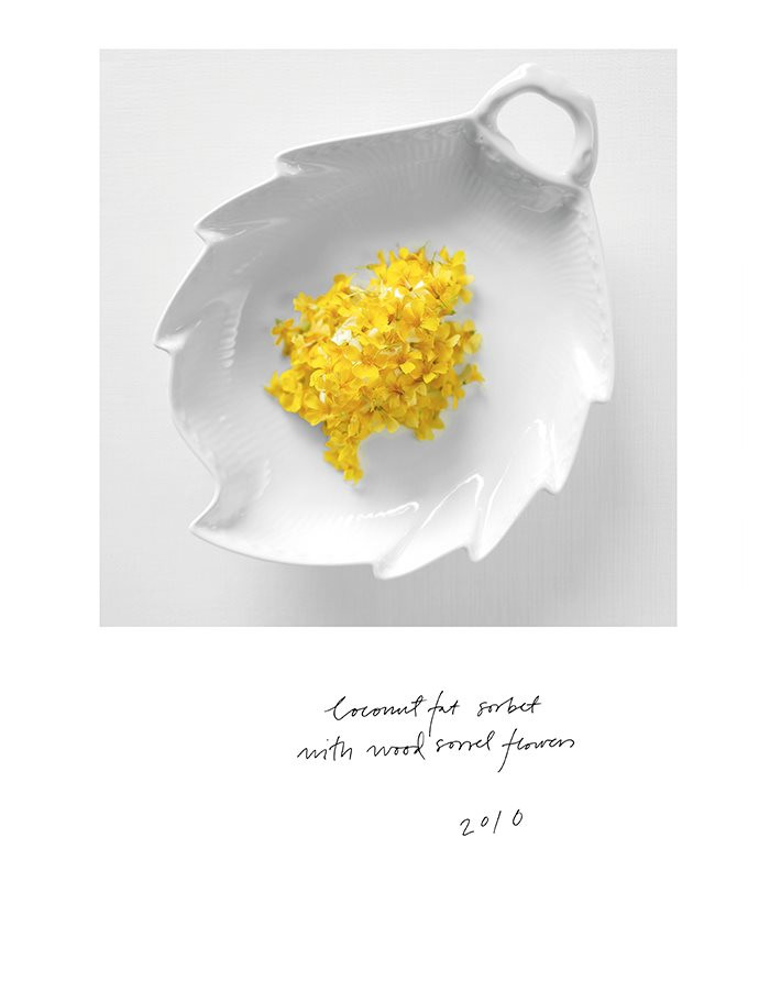 Bo Bech: What Does Memory Taste Like? *OUT OF PRINT* - Le Sanctuaire