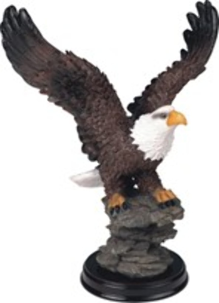 eagle perched on rock