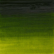 W&N Artists' Oils - Sap Green S2