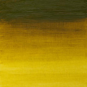 W&N Artists' Oils - Green Gold S2